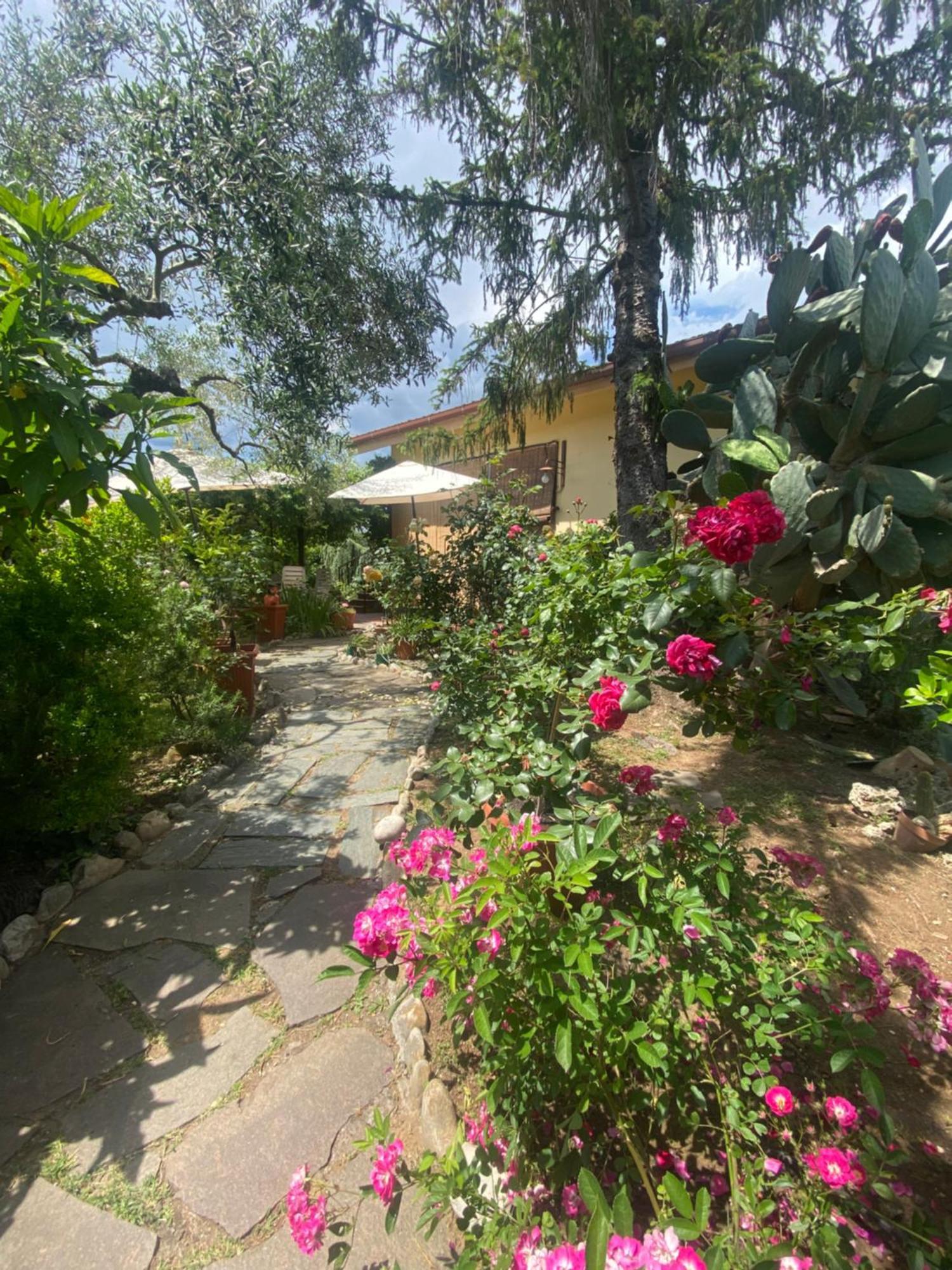 Corelli & Company Rose Musica E Libri Santa Marta Exterior photo
